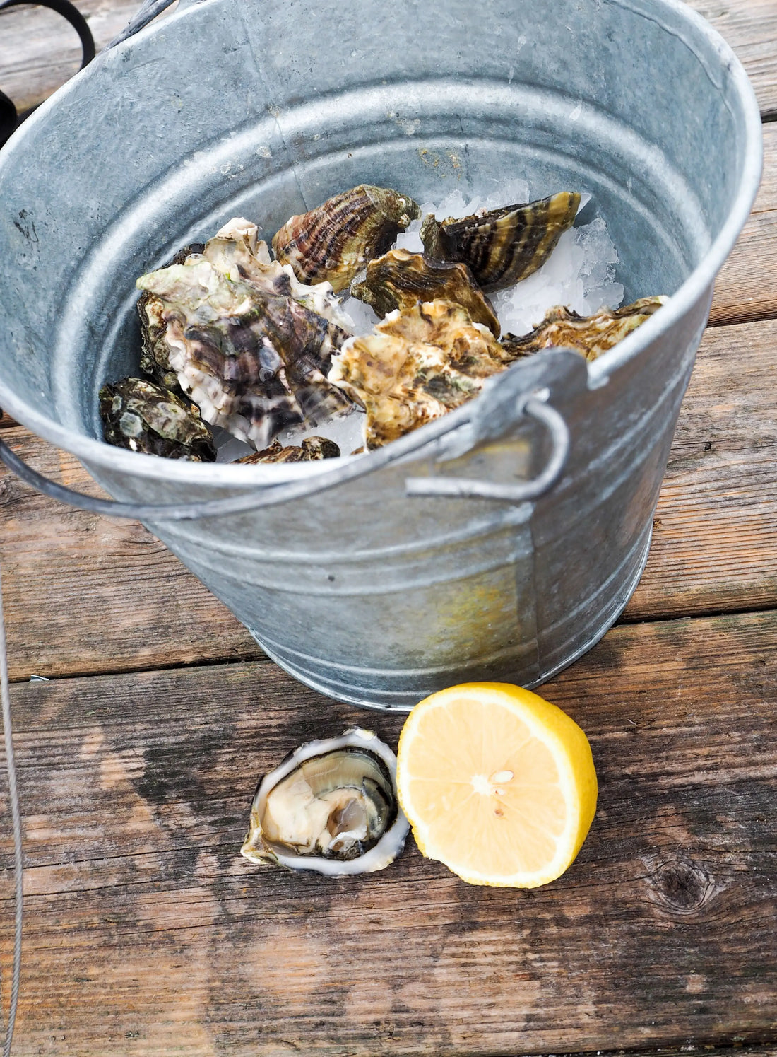 HOW-TO-EAT-OYSTERS Dish The Fish