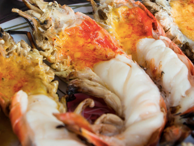 DishTheFish Singapore Big Jumbo Scampi Wild India Airflown fresh fish seafood online.