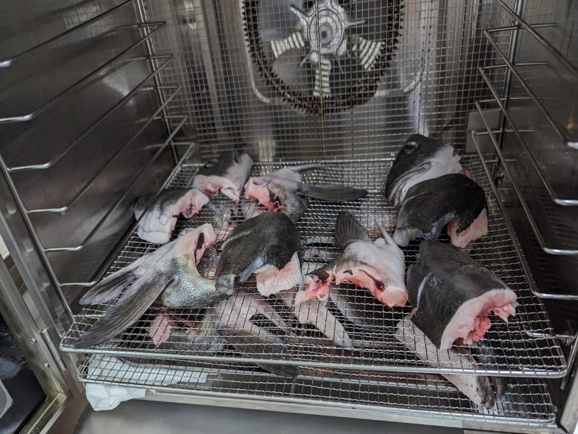 In House Dehydrated Gindara Sablefish (Black Cod) Head - Dishthefish Singapore Fresh Fish Sustainable