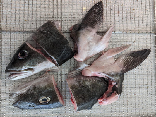 In House Dehydrated Gindara Sablefish (Black Cod) Head - Dishthefish Singapore Fresh Fish Sustainable