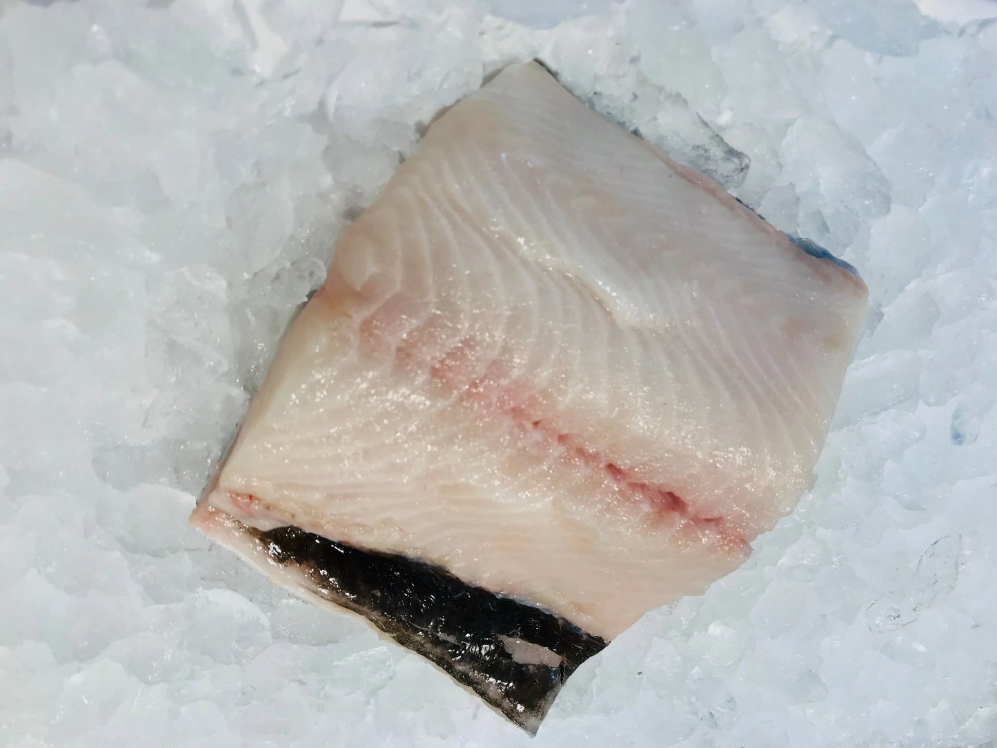 Whole Fresh Table Size Sustainable Gindara Sablefish/ Black Cod (about 1.1 kg) - Dish The Fish