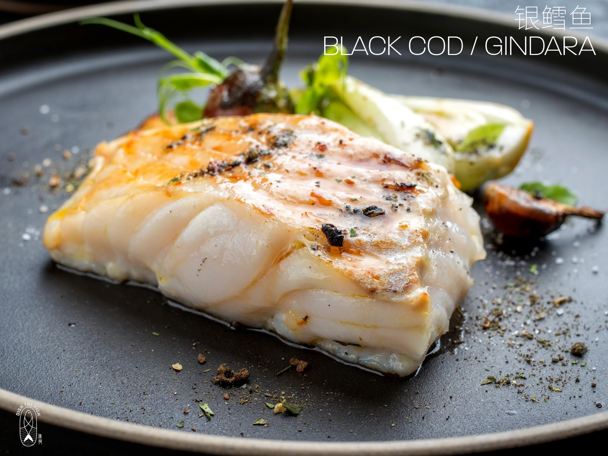 Mum Bundle (Energy / Health Booster) - Dish The Fish