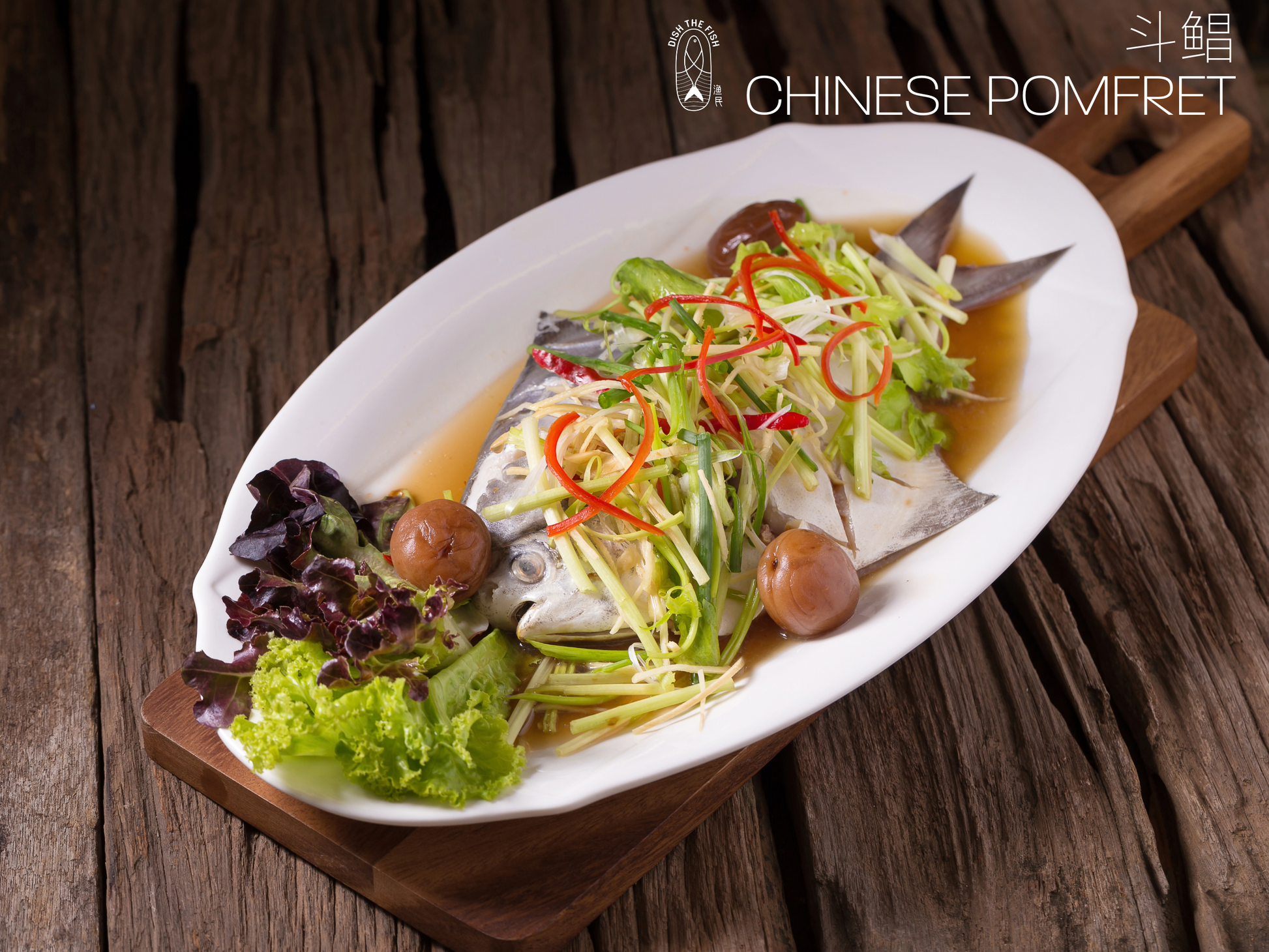 Dishthefish Recommended Bundle - Dish The Fish