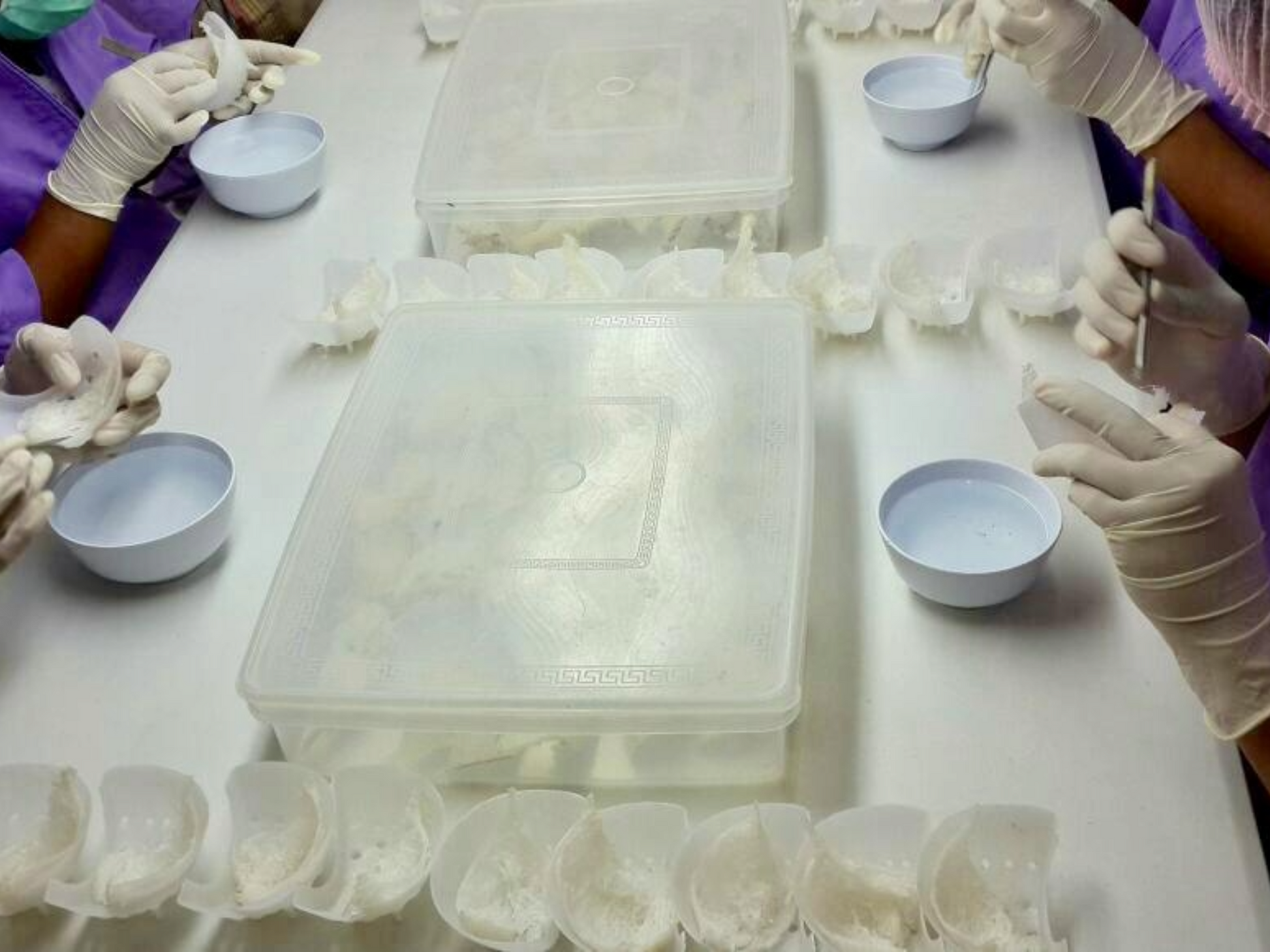 Cooked Bird's Nest DishTheFish Singapore Premium Sustainable Organic Online Natural Clean Food Delivery Fresh Seafood Fish Indonesia Direct Factory Collagen Natural Premium Superior 100% Cave