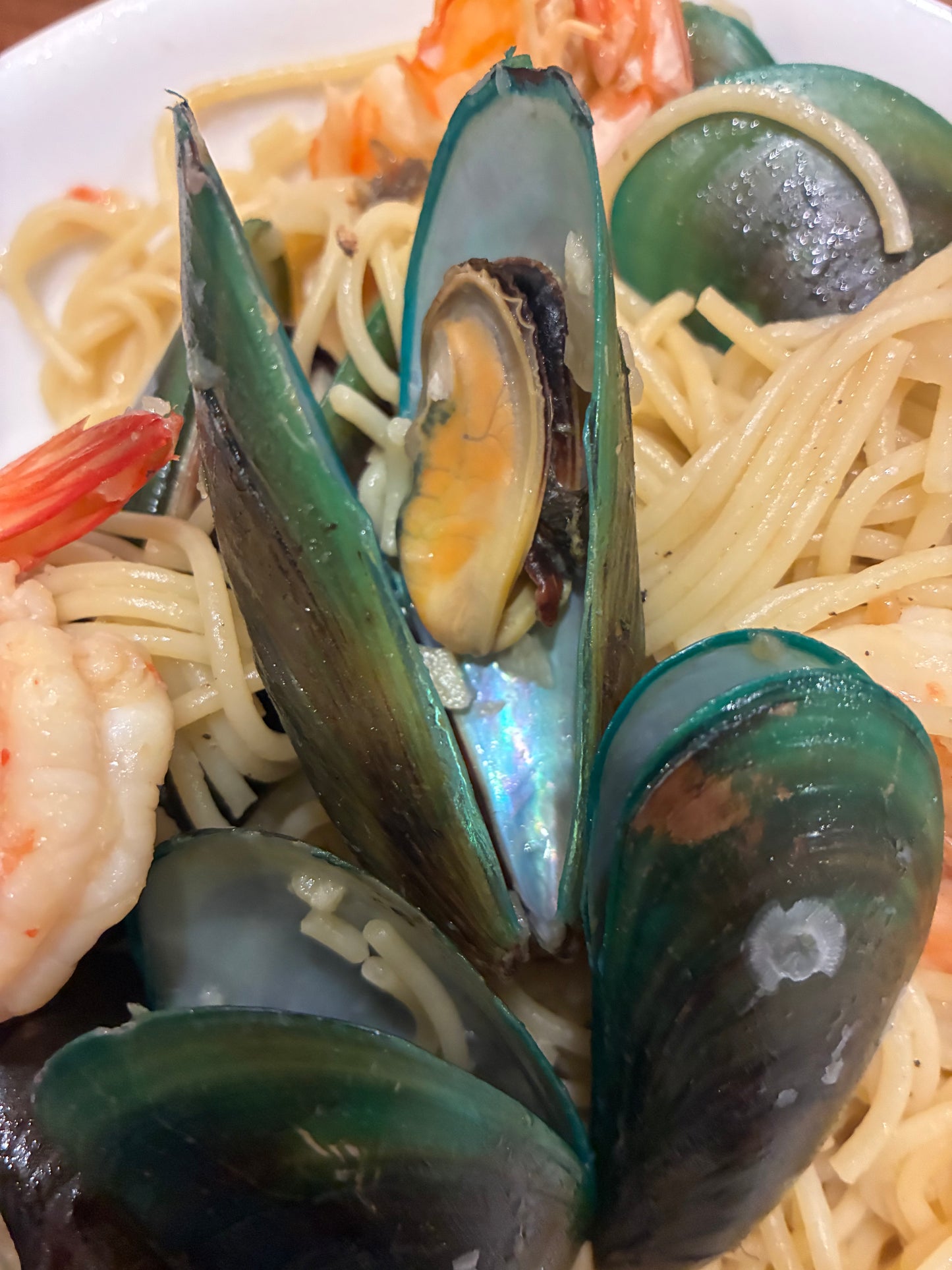 Live Sustainable Green Mussels - 1kg