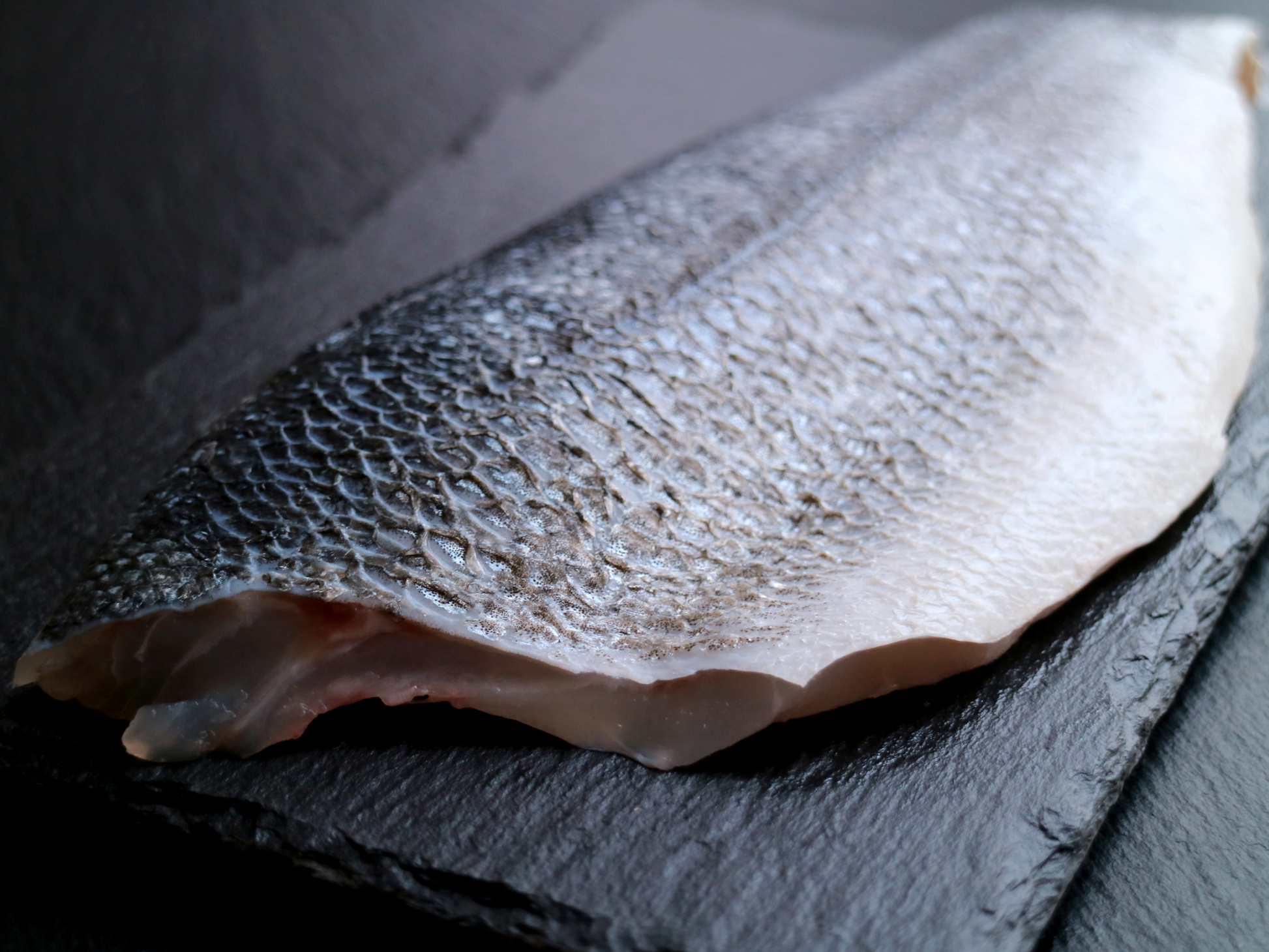 DishTheFish Growing Child Bundle Handpicked Fish Fillet Fresh Fish Seafood Online Dishthefish Organic Natural Fresh Fish Seafood