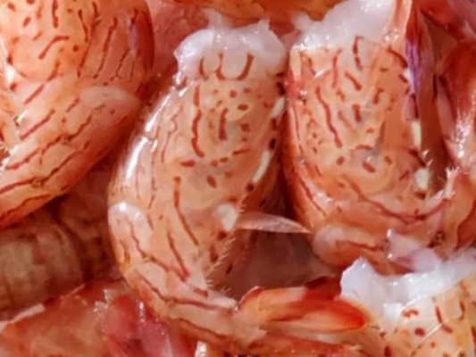 DishTheFish Side Stripe Prawns Shrimps Vancouver Singapore Fresh Fish Seafood Sustainable Wild Caught Organic Ocean Delivered Fresh Doorstep Air Flown Spot Prawns King Shrimps