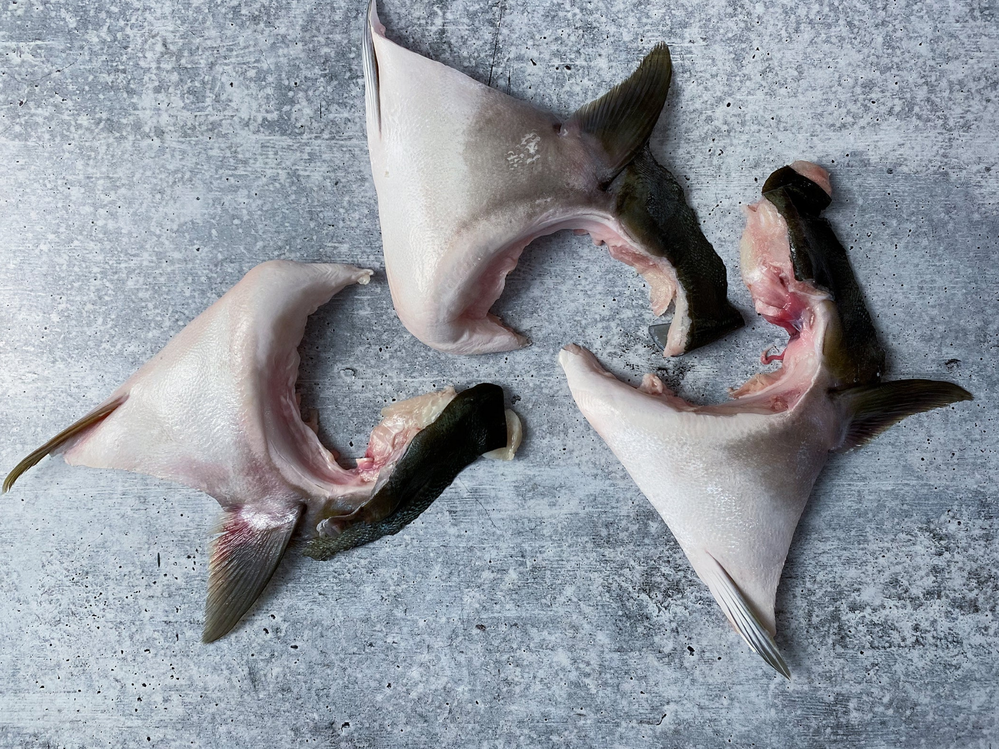 Dishthefish Hamachi Collars Japanese Australia DishTheFish Sustainable Organic Natural Clean Food Online Delivery Fresh Fish Seafood Child Cut Ethically harvested no msg no preservatives