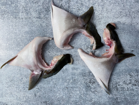 Dishthefish Hamachi Collars Japanese Australia DishTheFish Sustainable Organic Natural Clean Food Online Delivery Fresh Fish Seafood Child Cut Ethically harvested no msg no preservatives