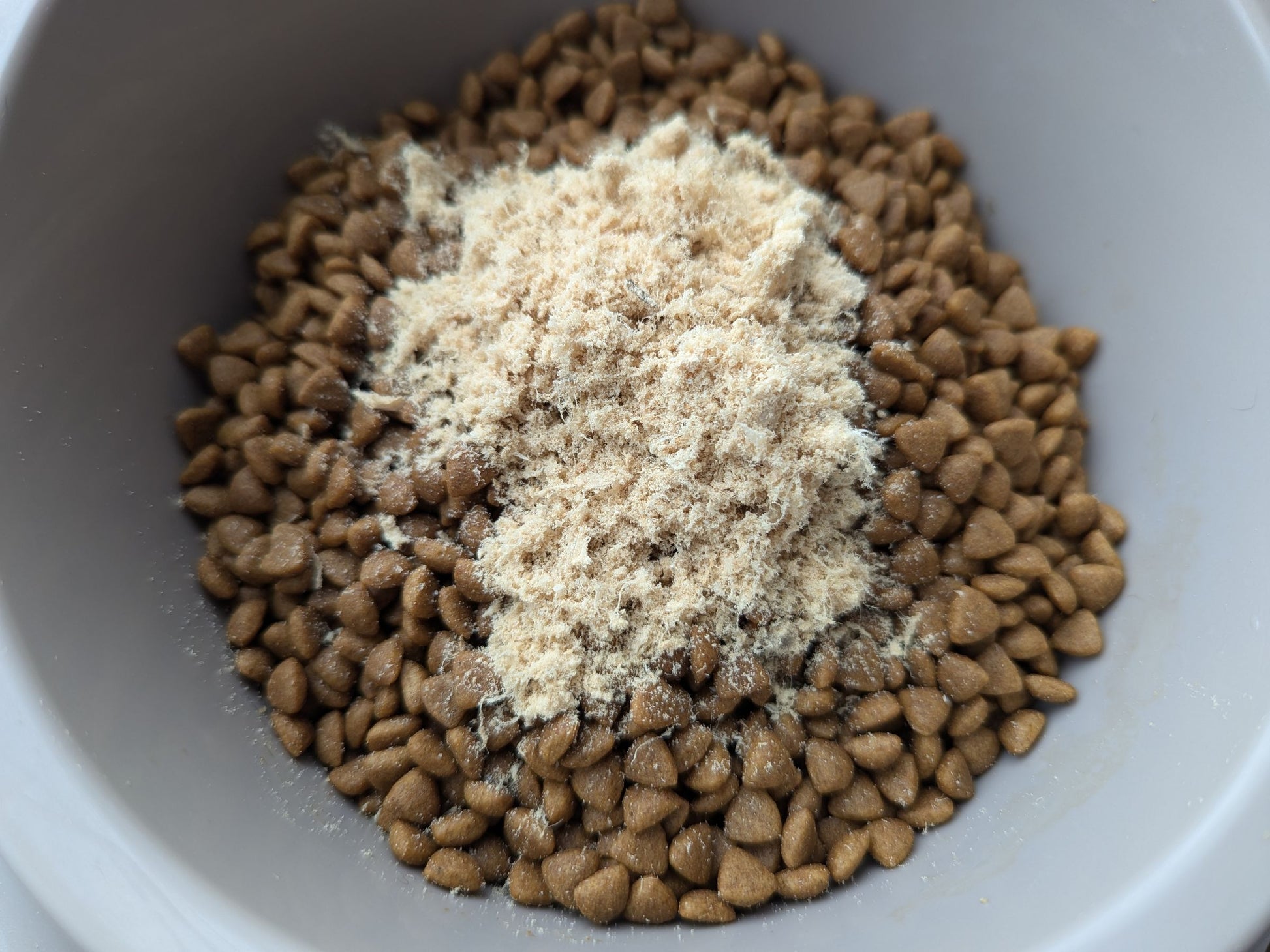 Wild Balai Threadfin Head (about 1kg) - Dishthefish Sustainable Tanjung Balai Indonesia Online Delivery Singapore Fresh Fish Seafood Line Caught Organic Natural Ethical  DishTheFish Toppers Powderize  Pets Treats Superfood