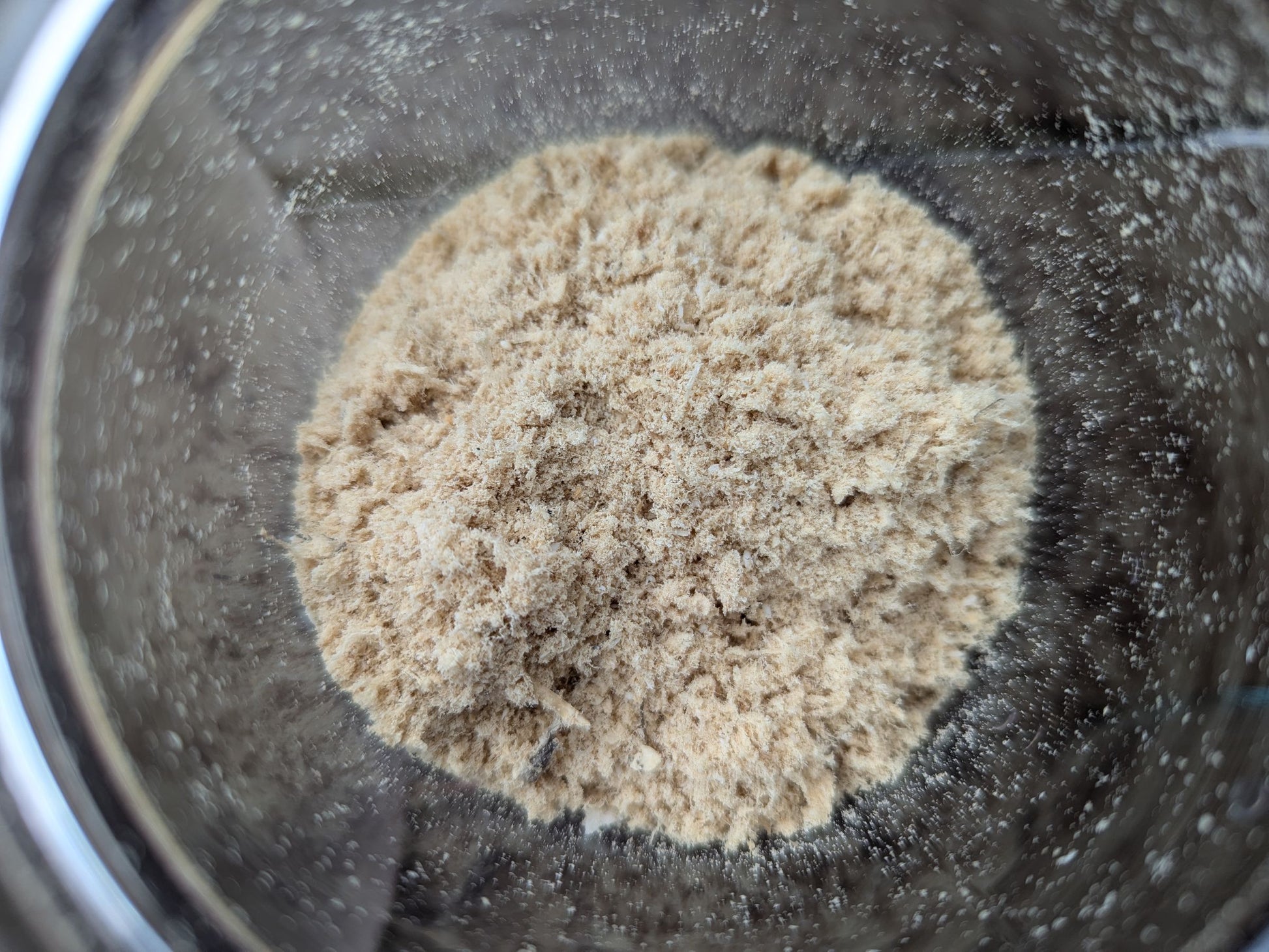 Wild Balai Threadfin Head (about 1kg) - Dishthefish Sustainable Tanjung Balai Indonesia Online Delivery Singapore Fresh Fish Seafood Line Caught Organic Natural Ethical  DishTheFish Toppers Powderize  Pets Treats Superfood