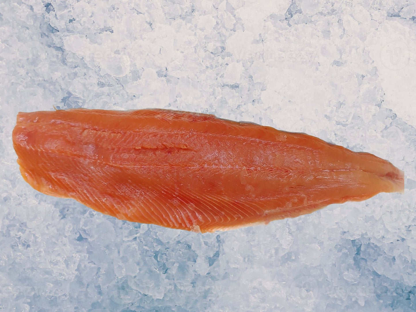 Wild Fresh Whole Pink Salmon *Limited to season only* Dishthefish