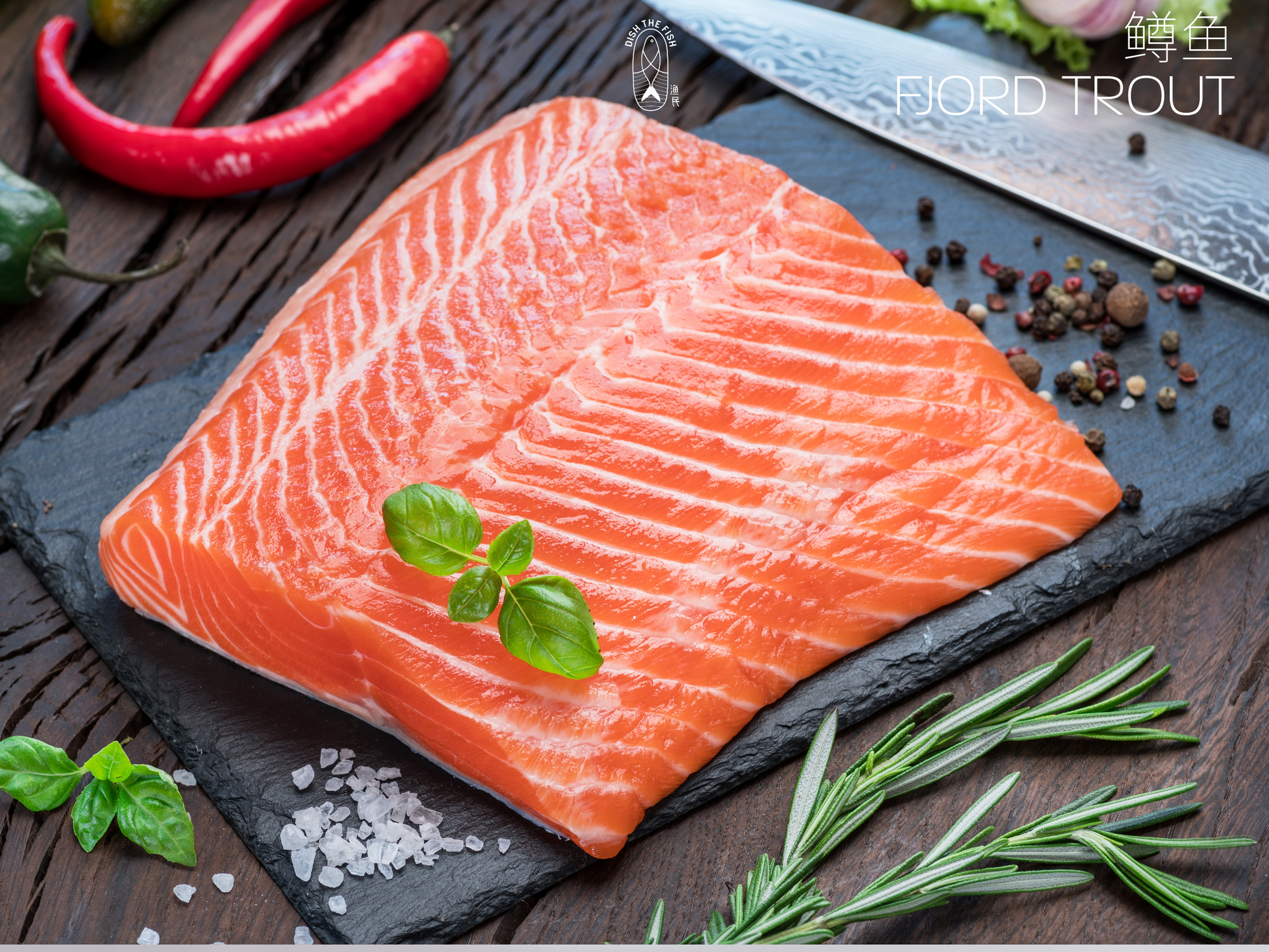 Dishthefish Recommended Bundle - Dish The Fish