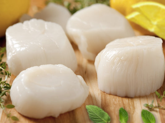 dishthefish the new age fishmonger fresh fish seafood hokkaido scallops sashimi grade wild caught shellfish chinese new year 渔民 北海道 扇贝 贝壳类 刺身 生鱼片 网购 送货 新加坡 巴刹 鲜鱼 海鲜 海产  日本扇贝 Extra Large 特大