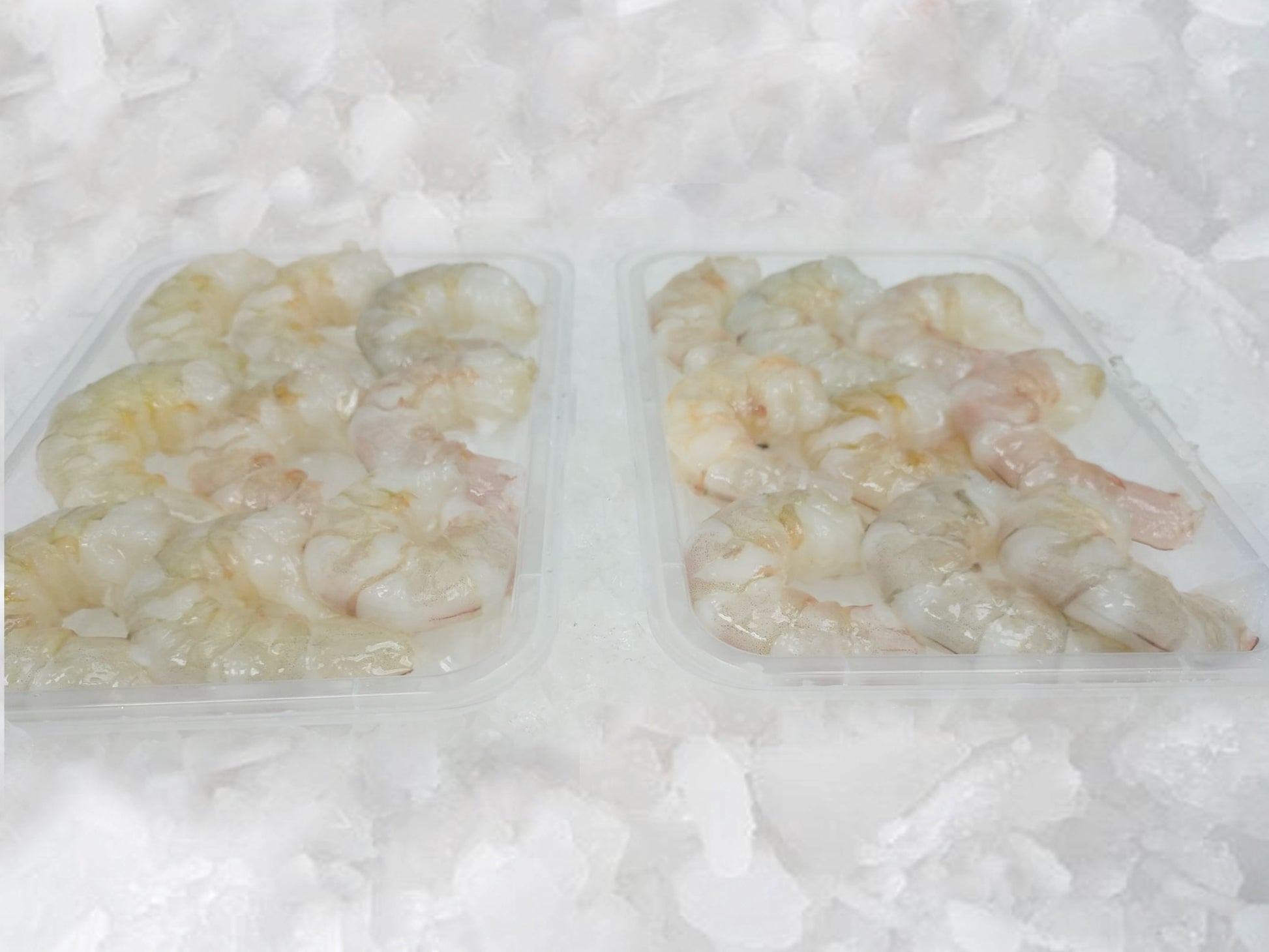 a White (Ang Kar) Prawns (medium size, 500g) - Dishthefish Fresh Wild Caught Sea White Prawns Indonesia Grilled Steamed Hotpot Steamboat Online delivery Singapore Peeled Without Chemical shells