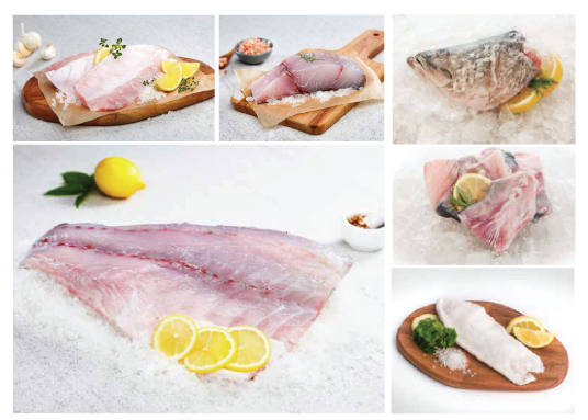 Whole Kühlbarra Barramundi (sea bass) - About 4.5kg - Dishthefish