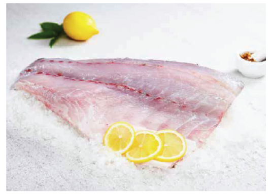 Whole Kühlbarra Barramundi (sea bass) - About 4.5kg - Dishthefish