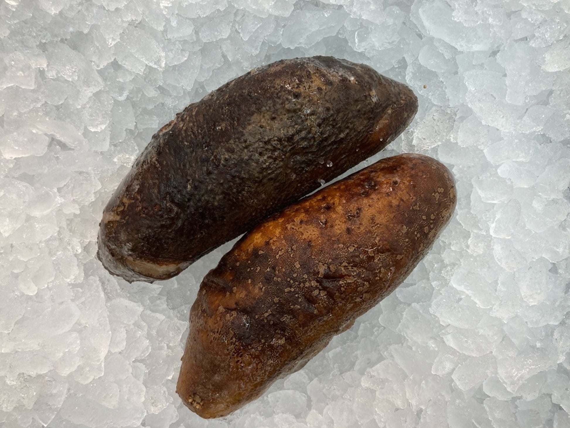 Se Cucumber HEI WAN 黑丸参 wild caught sabah sustainable ethical harvested hand dive no chemical fresh frozen deep no bleach collagen cure cancer Singapore online delivery