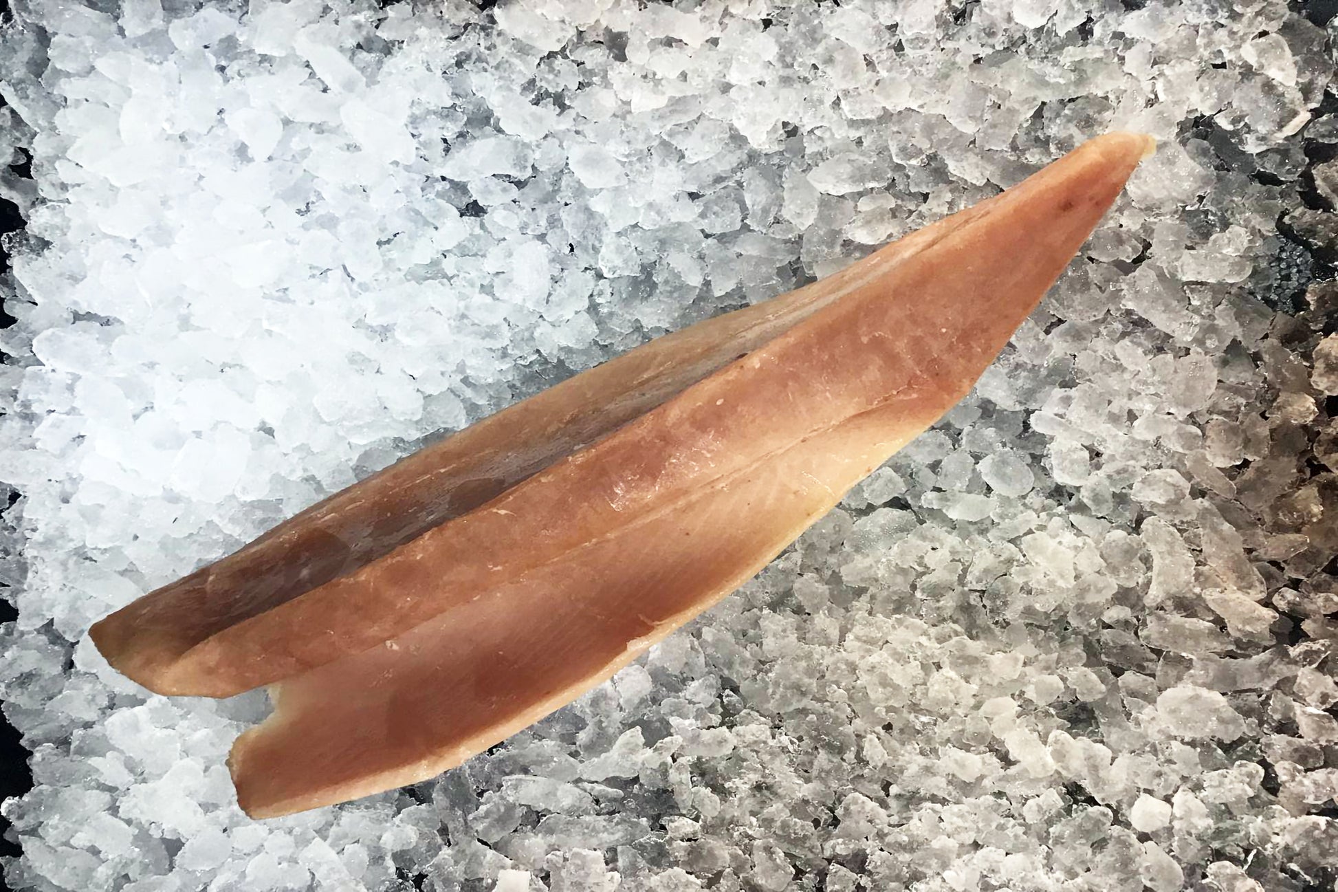 Haidacore Gwaii canada Albacore tuna british columbia wild caught lined caught sustainable responsible fishermen dishthefish the new age fishmonger singapore fresh fish slices child cut seafood online delivery market sashimi japanese captain chef 加拿大 金鲳鱼 野生 海抓 新加坡 湿巴刹 鱼贩 鱼片 鱼片汤 小孩 无骨 刺身 网购 送货 鲜鱼