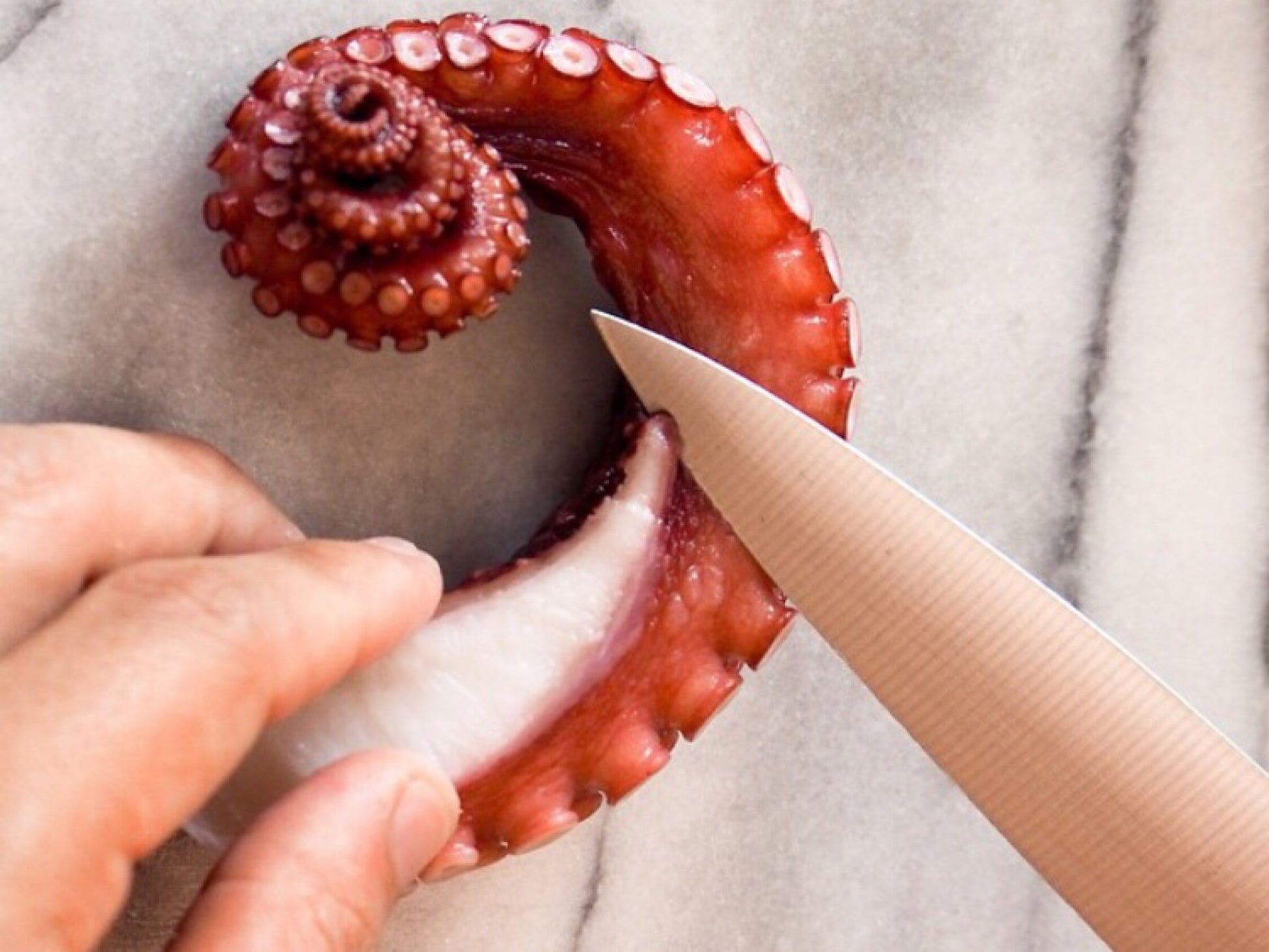 whole boiled octopus sashimi grade fresh fish singapore fishmonger seafood online delivery the new age fishmonger singapore DishTheFish A Great Fish Makes The Dish Australia MSC 100% wild caught Pacific Octopus Skull Island Southwest 八角鱼 澳洲 野生 海抓 即煮 方便包装 新加坡 网购