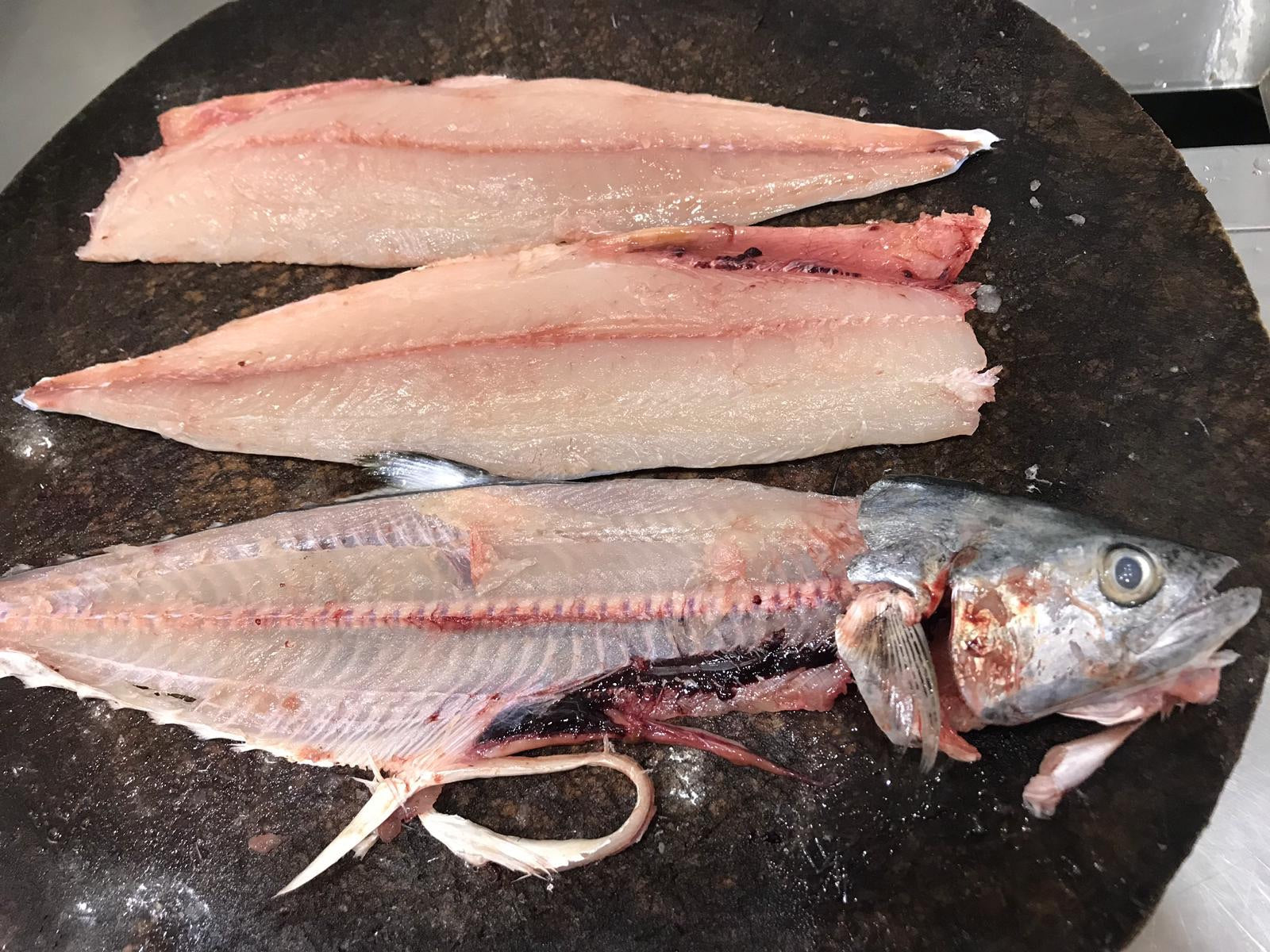 sootted mackerel singapore fishmonger fresh fish seafood online delivery market the new age fishmonger 马鲛鱼 fresh fish online delivery spotted mackerel fishball fishcake fresh fish pure handmade fish paste made to order