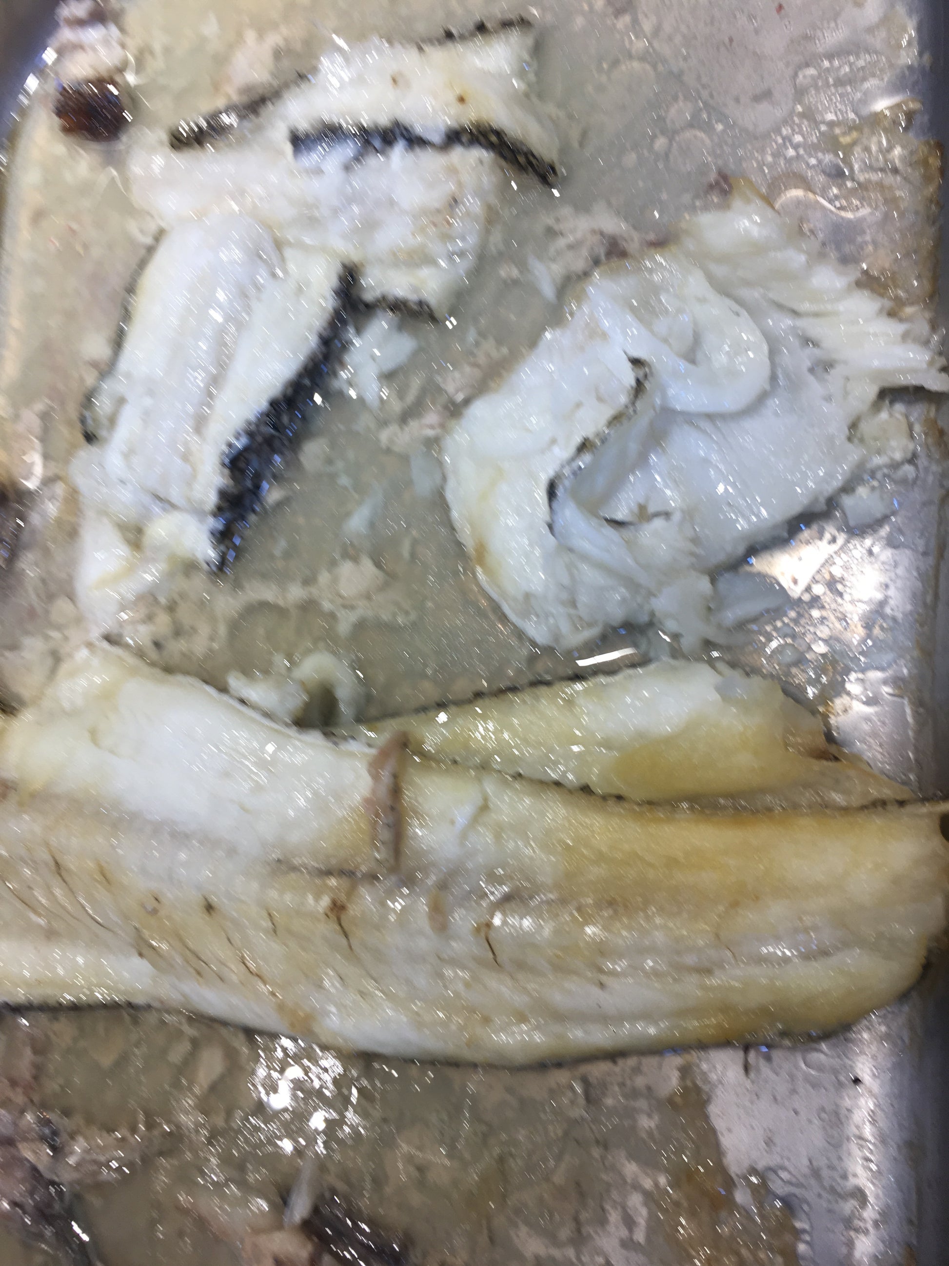 DishTheFish A Great Fish Makes The Dish Singapore Fishmonger Market Online Delivery Child Pack Omega Collagen Fresh Fish Bones Threadin Red Snapper Grouper Wild Caught Child Pack Cube 新加坡 上汤 纯鱼骨 小孩包装 鲜鱼 午鱼 石斑骨 鱼片汤 fish slices 网购 渔民 MSG and Salt-free Pure Fish Bone Broth (2 packs) - Dishthefish Golden Liquid