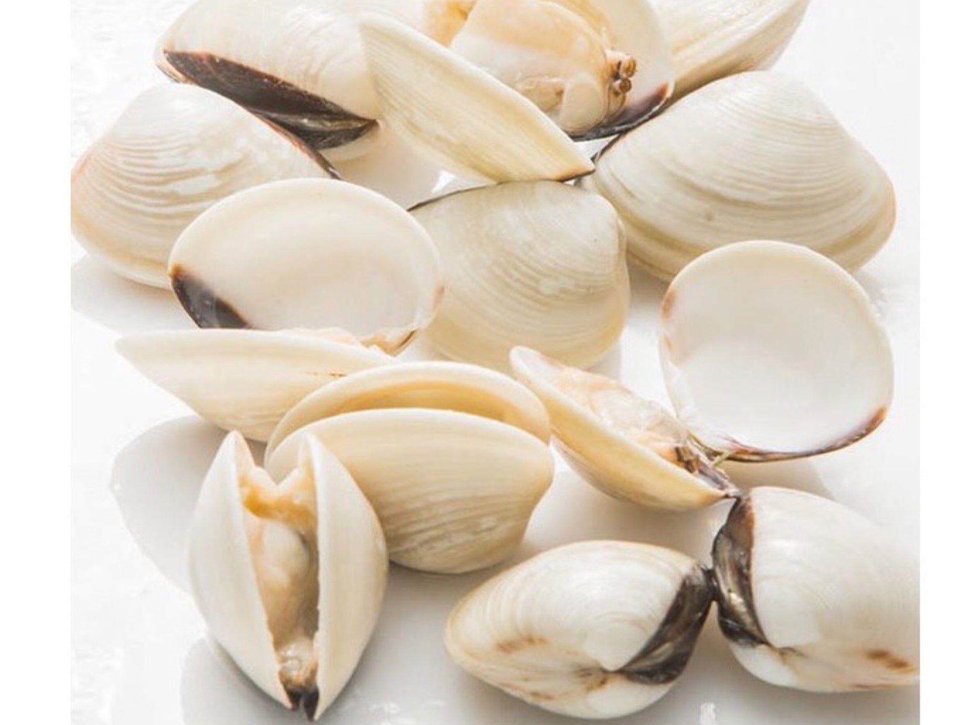 Wild Frozen White Clams/ La La - Dish The Fish