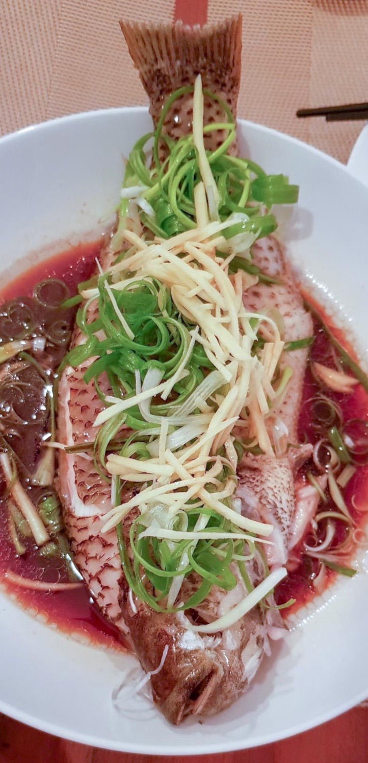 St Peter’s Tilapia (Blue Kurper Fish) - about 600g - Dishthefish