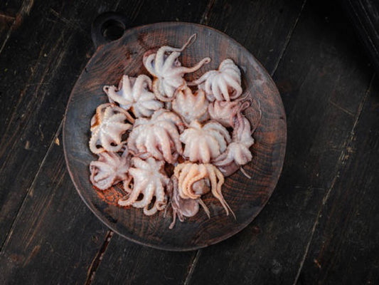 Dishthefish Wild Caught Sabah Baby Tako Octopus Uncooked Taste of the Sea Online Delivery Grill Sous Vide Deep Fried BBQ steam soup steamboat porridge convenient