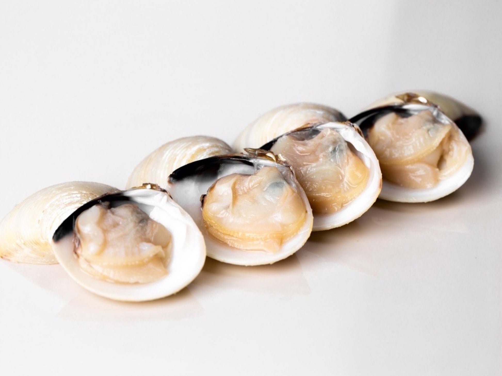 Wild Frozen White Clams/ La La - Dish The Fish