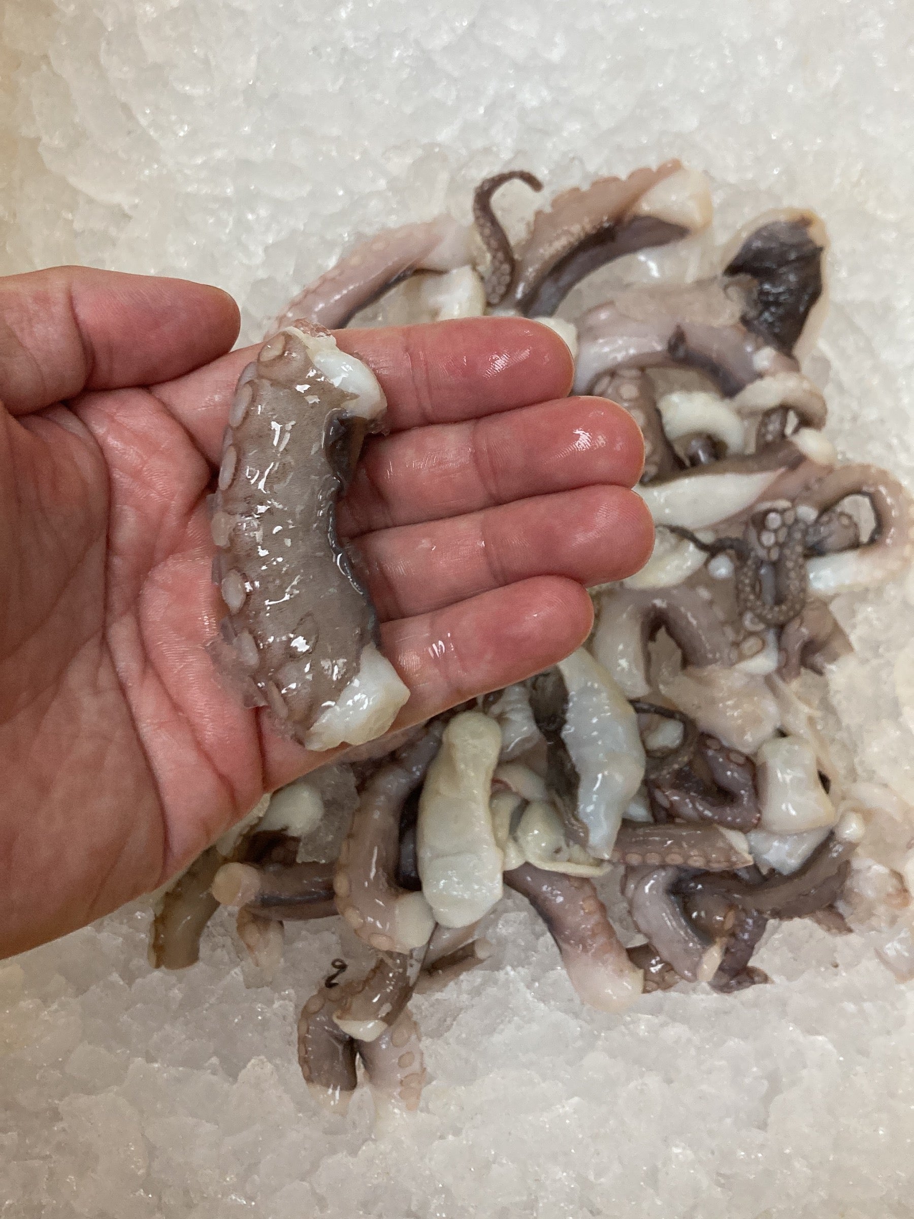 Wild Uncooked Sustainable Octopus Legs - 600g pack - Dish The Fish