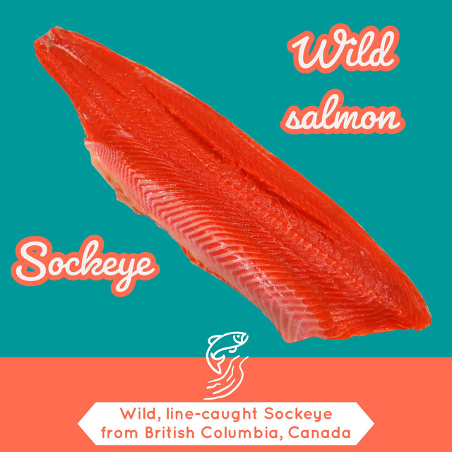 ALL YOU NEED TO KNOW ABOUT WILD SOCKEYE SALMON
