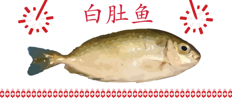 ALL YOU NEED TO KNOW ABOUT CHINESE NEW YEAR FISH A.K.A. RABBIT FISH (白肚鱼）