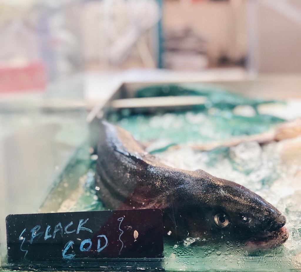 ALL YOU NEED TO KNOW ABOUT OUR GINDARA SABLEFISH (BLACK COD)