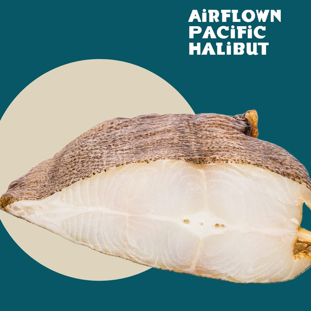 ALL YOU NEED TO KNOW ABOUT WILD PACIFIC HALIBUT