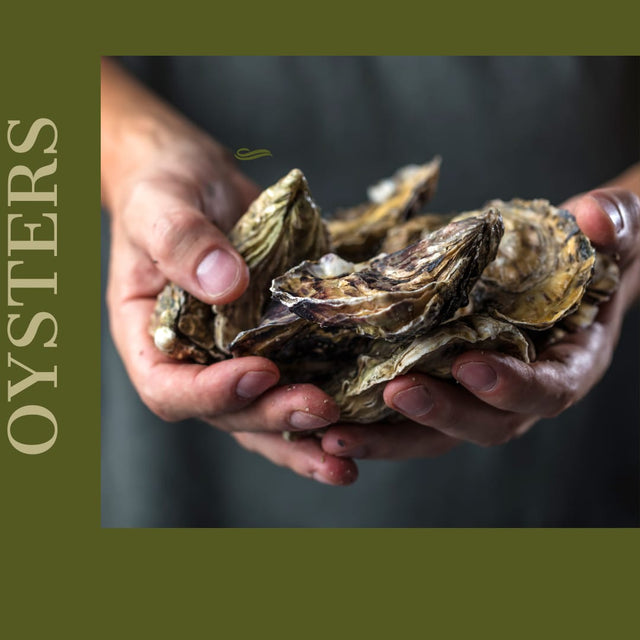 WHY YOU SHOULD TRY NEW TYPES OF OYSTERS, ESPECIALLY OUR EFFINGHAM OYSTERS