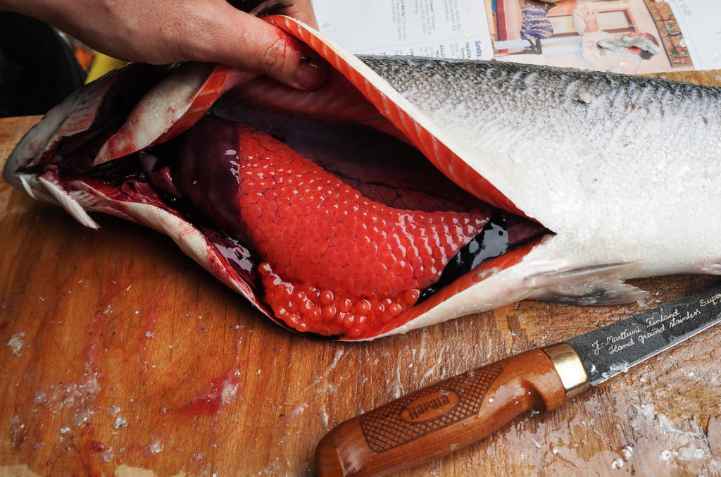 HOW TO GET SALMON ROE FROM THE FISH INTO YOUR STOMACH