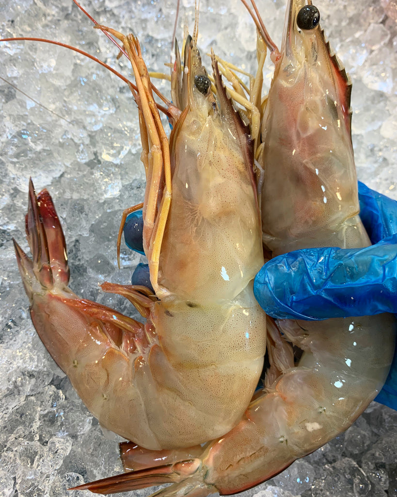 ALL YOU NEED TO KNOW ABOUT WILD-CAUGHT SEA WHITE (ANG KAR) PRAWNS