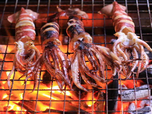 ALL YOU NEED TO KNOW ABOUD SQUID (SOTONG)
