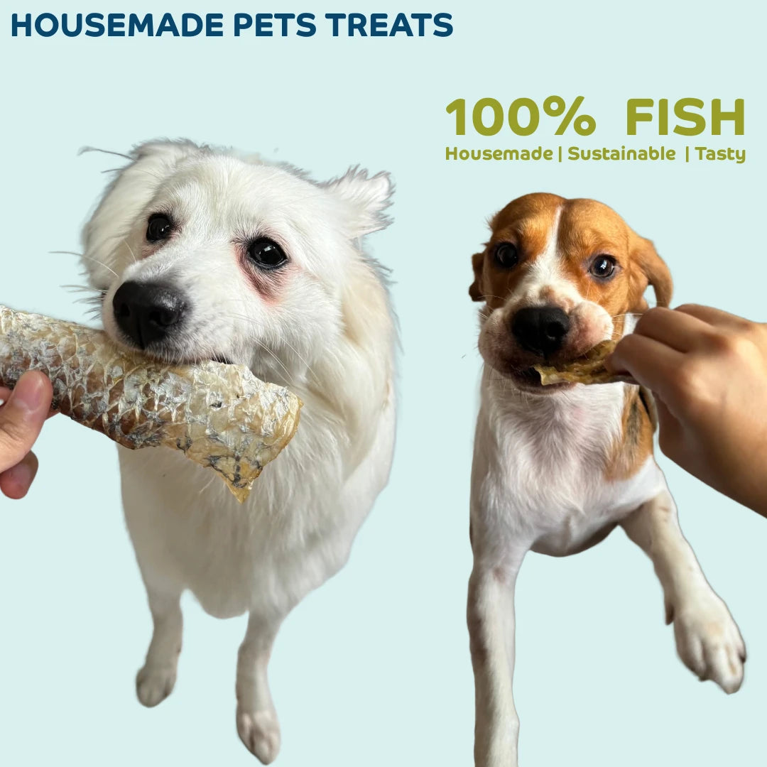 Pets-Treats Dish The Fish