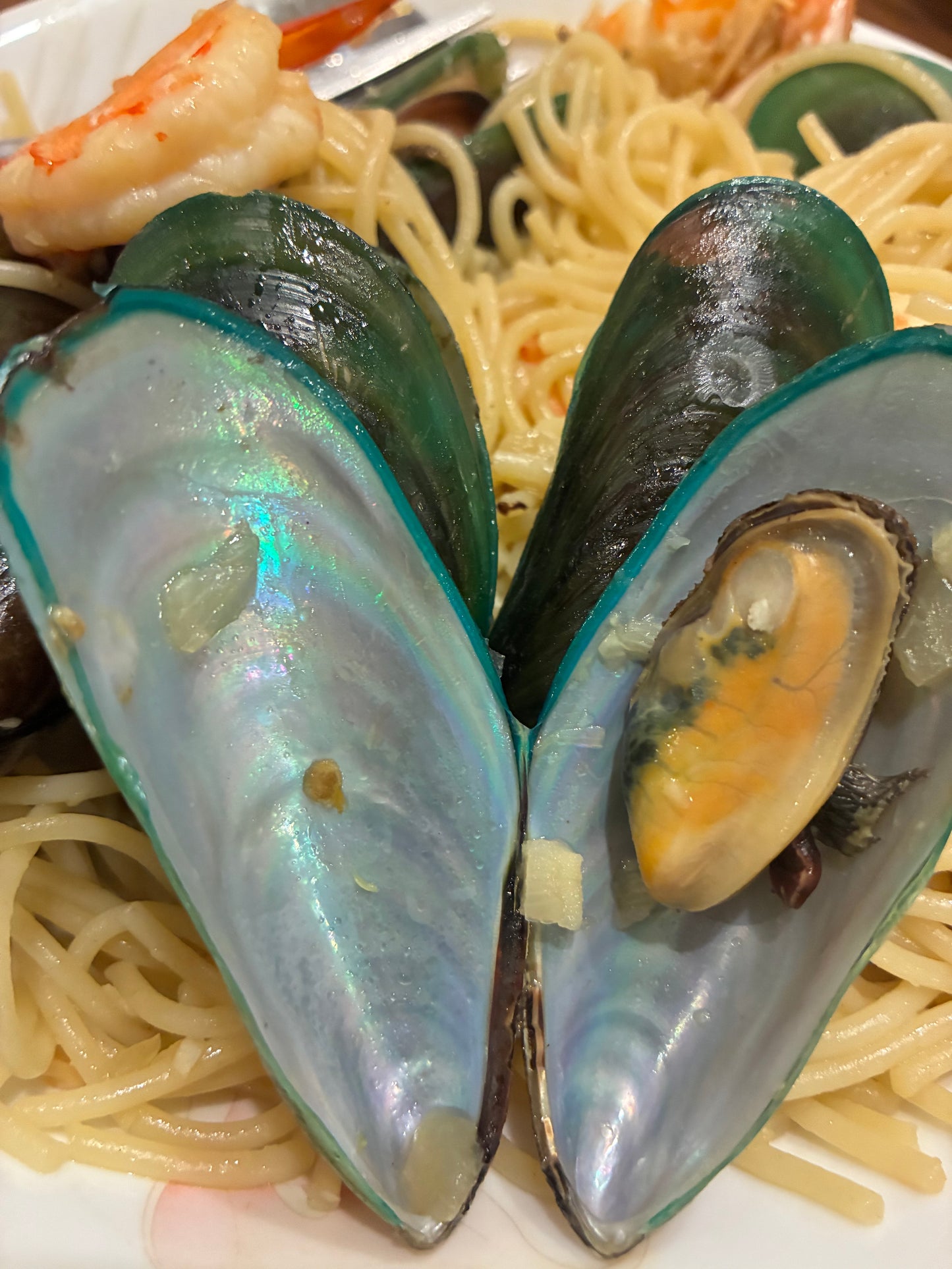 Live Sustainable Green Mussels - 1kg