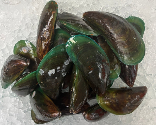 Live Sustainable Green Mussels - 1kg