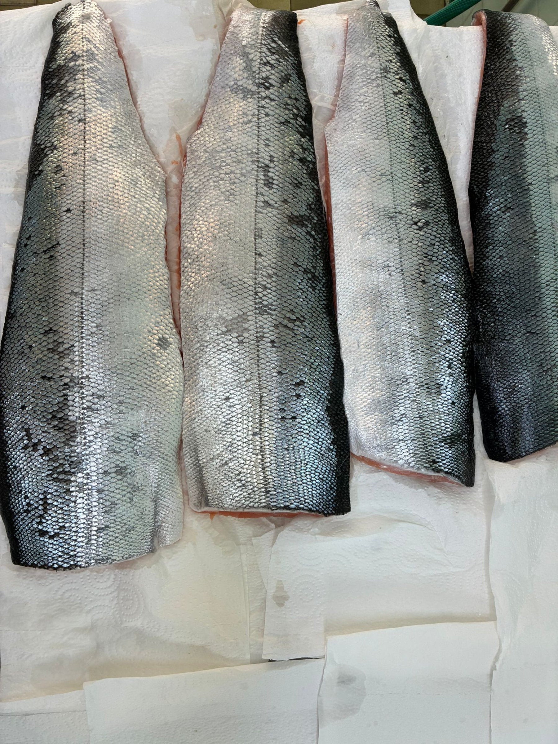 These images capture the full journey of wild keta salmon line‑caught from British Columbia and cold‑smoked naturally in Singapore by DishTheFish. From whole fresh salmon to fillets cured with dill, salt, and brown sugar, then smoked in commercial Alto‑Shaam ovens, each stage is shown clearly for accessibility. The alt text highlights Singapore as the processing location and emphasizes keywords like wild keta salmon, cold smoked, fresh dill, and DishTheFish Singapore, ensuring the visuals