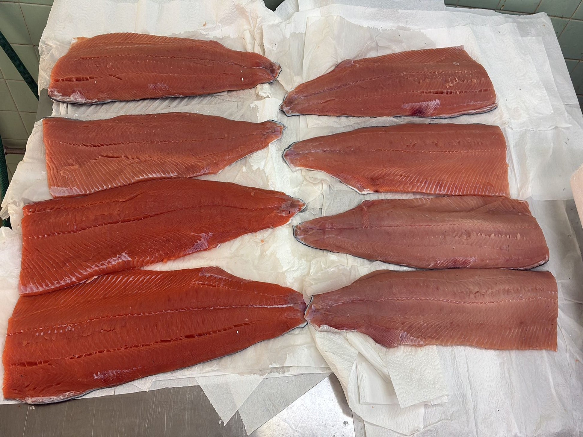 These images capture the full journey of wild keta salmon line‑caught from British Columbia and cold‑smoked naturally in Singapore by DishTheFish. From whole fresh salmon to fillets cured with dill, salt, and brown sugar, then smoked in commercial Alto‑Shaam ovens, each stage is shown clearly for accessibility. The alt text highlights Singapore as the processing location and emphasizes keywords like wild keta salmon, cold smoked, fresh dill, and DishTheFish Singapore, ensuring the visuals