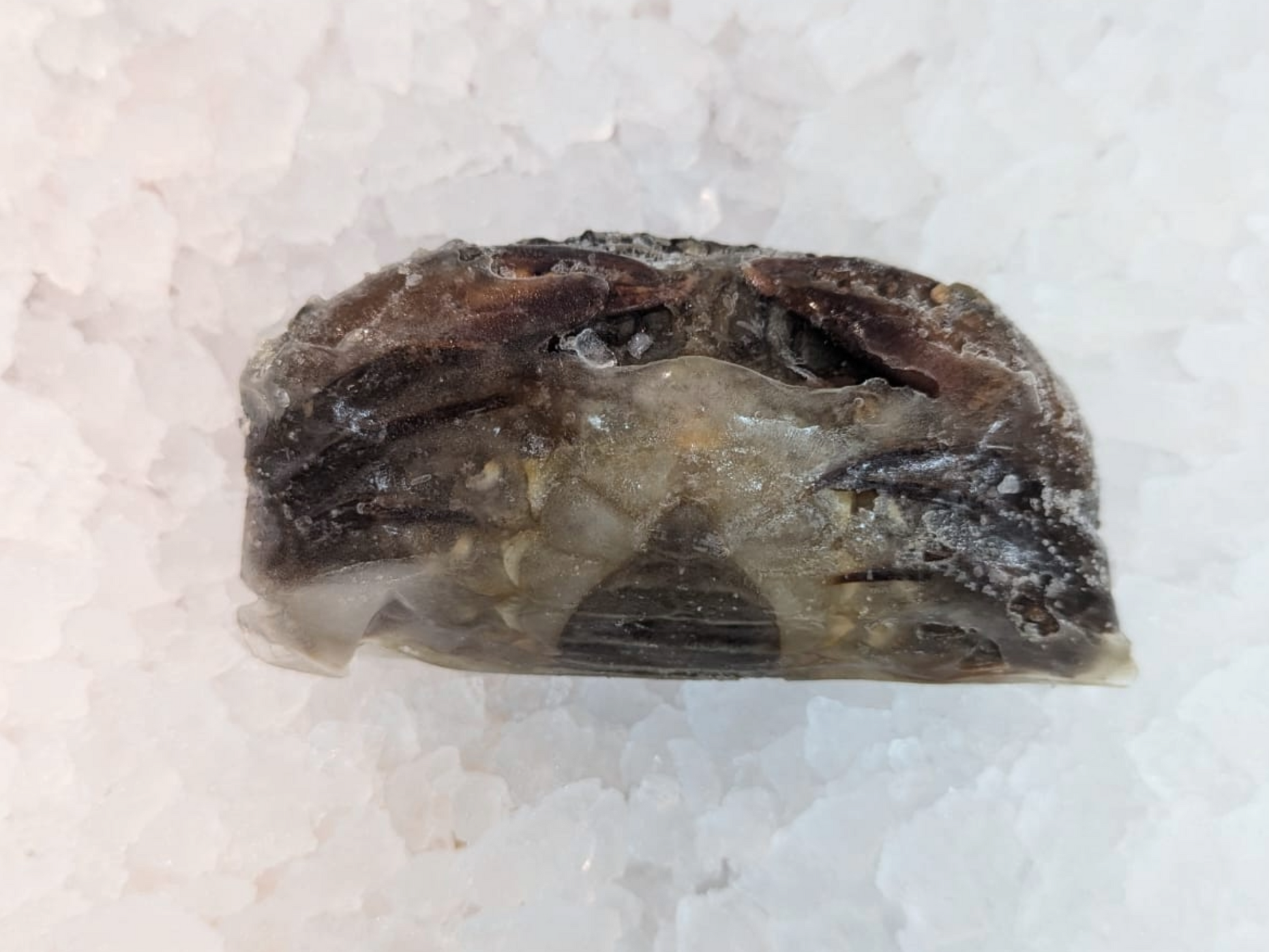 Dishthefish Soft Shell Crabs farmed Online delivery Singapore Fresh Fish Shellfish Seafood 