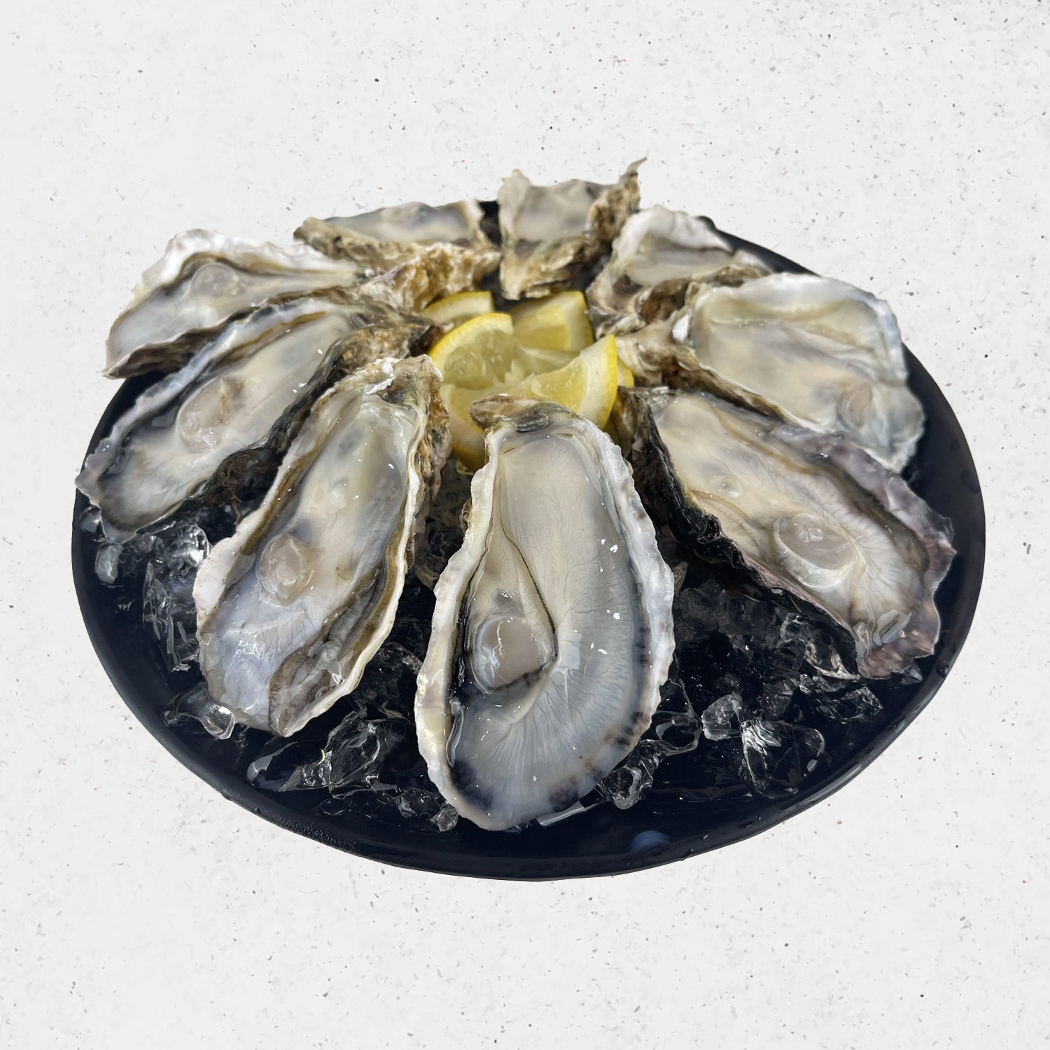 DishTheFish-X-Eatermarket-_The-Epic-Coast-_-Carve-Winterland_ Christmas Special Bundle Fresh Meat Seafood Online DishTheFish Singapore Delivery Sockeye Wild Salmon Fresh Scampi River Prawns Sausage Chrizo lollipop Turkey Bacon Beef Chicken oysters