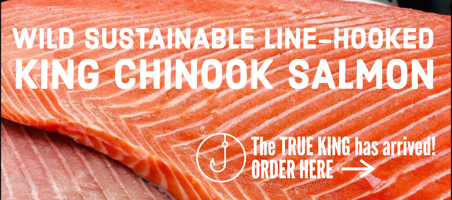 Dish The Fish Wild Sustainable Line Hooked King Chinook Salmon Spring Canada Vancouver Ethical harvested delivery Singapore fresh fish child cut fish slices steam grill bake online