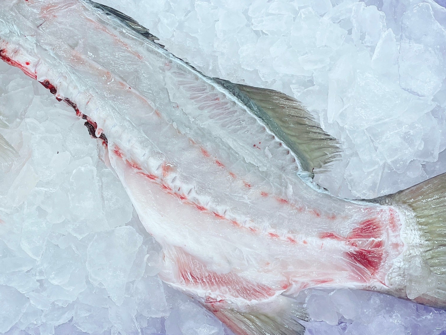 Seabass Barramundi Bones DishTheFish fresh fish fresh seafood