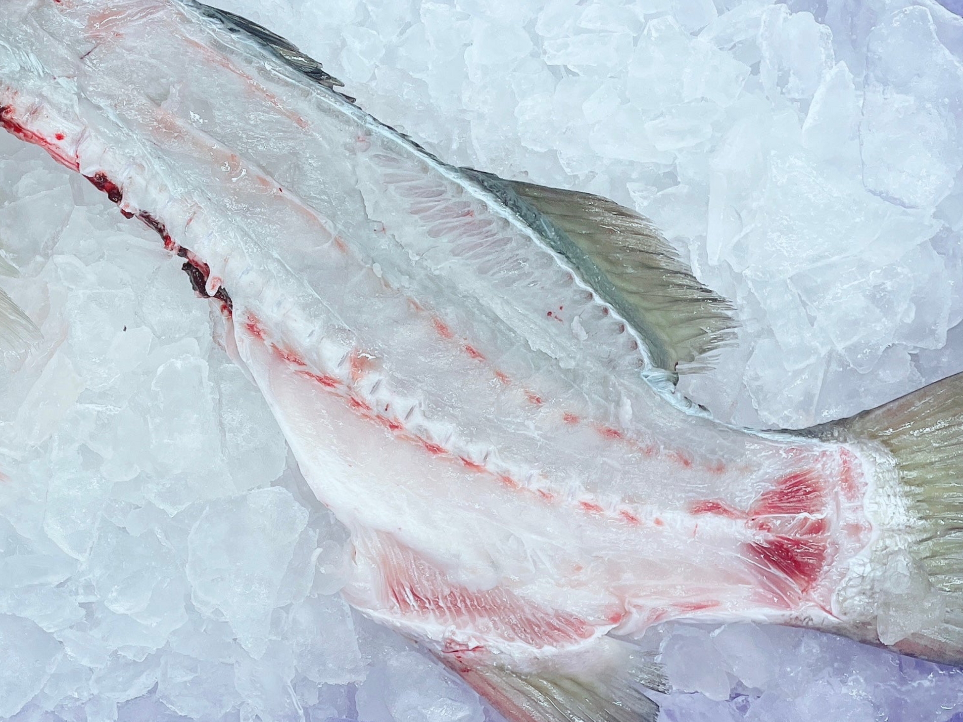 Seabass Barramundi Bones DishTheFish fresh fish fresh seafood