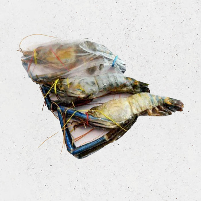 DishTheFish-X-Eatermarket-_The-Epic-Coast-_-Carve-Winterland_ Christmas Special Bundle Fresh Meat Seafood Online DishTheFish Singapore Delivery Sockeye Wild Salmon Fresh Scampi River Prawns Sausage Chrizo lollipop Turkey Bacon Beef Chicken oysters